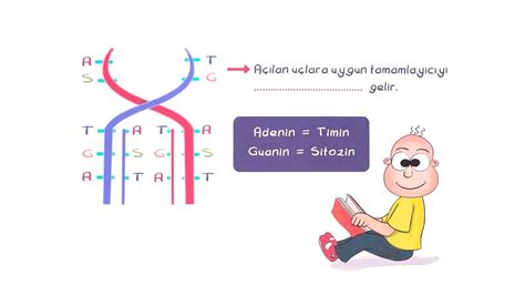 Tongu Plus S N F Dna Ve Genetik Kod Konu Anlat M