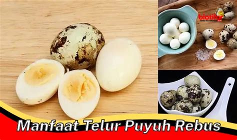 Temukan Khasiat Telur Puyuh Rebus Jarang Diketahui Biotifor