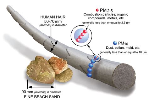 Particulate Matter Pm Basics Particulate Matter Pm Pollution Us Epa