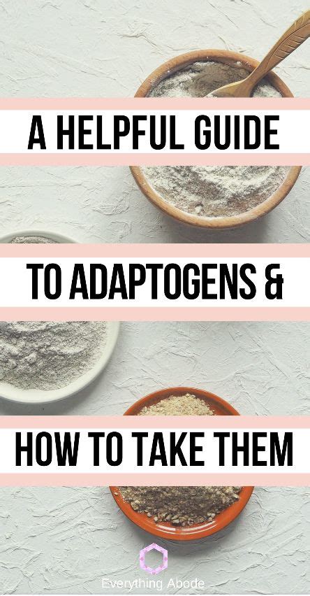 A Beginners Guide To Adaptogens Before You Take Them Artofit