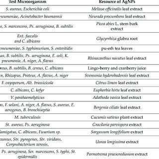 Pdf Silver Nanoparticles Mechanism Of Action And Probable Bio