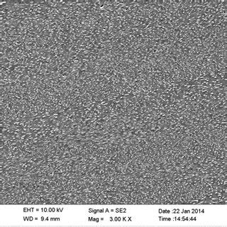 Sem Micrograph Showing Microstructure Formed By Ecap Note The