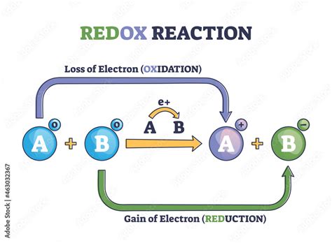 Stockvector Redox Reaction As Atoms Chemical Oxidation States Change