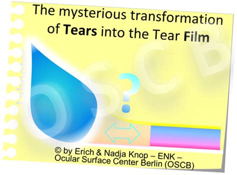 Tears And Tear Film — Ocular Surface Center Berlin