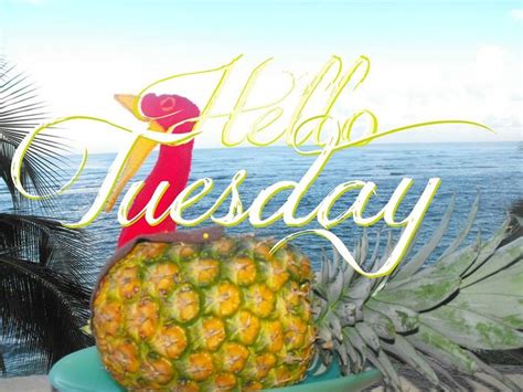 Happy Tuesday Coastal Lovers ~ Tuesday Greetings Tuesday Quotes