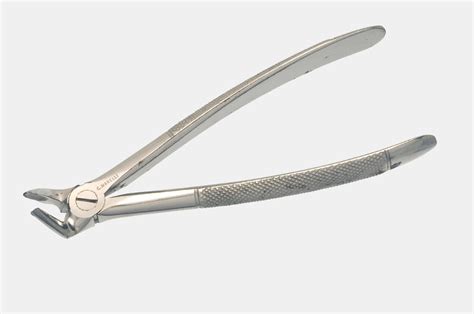 Lower Stumps Extracting Forceps Faculty Of Medicine Dentistry And