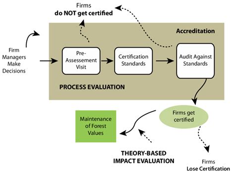 2 Schematic Representation Of Key Steps And Decisions In The FSC