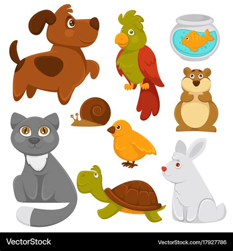 Picture Of Pets Cartoon - PetsWall