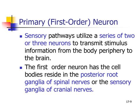 Pathways Of The Nervous System Ppt Download