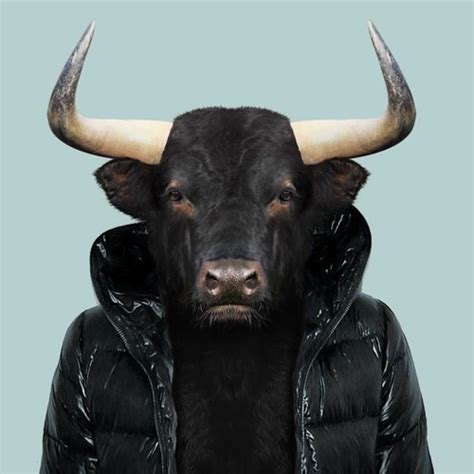 Stream Hot Beef Injection By Nigel With The Brie Listen Online For Free On SoundCloud