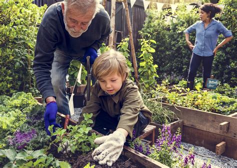 Jardiner Avec Les Enfants Quoi Planter Et Activit S Amusantes Les