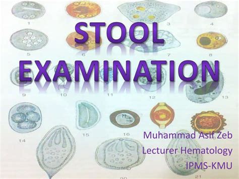 Stool Examinationpptx