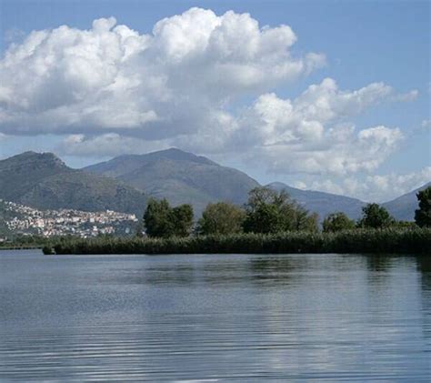 Con Gli Occhi Di Una Libellula Il Parco Ausoni In Campo Per Il Lago