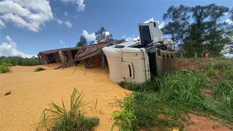 BR 163 motorista tomba carreta carregada de milho para evitar colisão