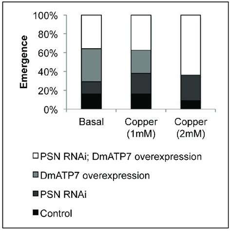 SOD activity (A) and SOD1 protein levels (B) were assessed for control... | Download Scientific ...