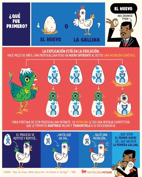 Pictoline Qu Fue Primero El Huevo O La Gallina La