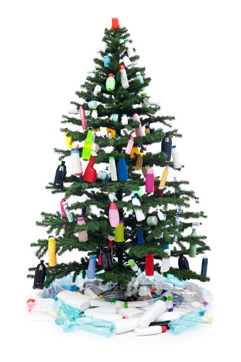 28 Eco-Friendly Christmas Tree Ideas