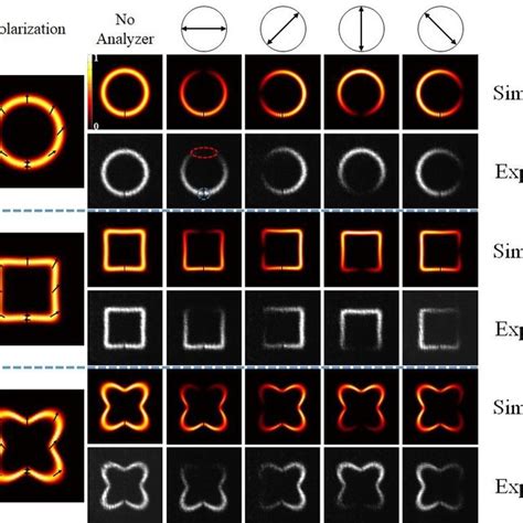 Simulated And Experimental Results Of Generating The Tunable Fractional