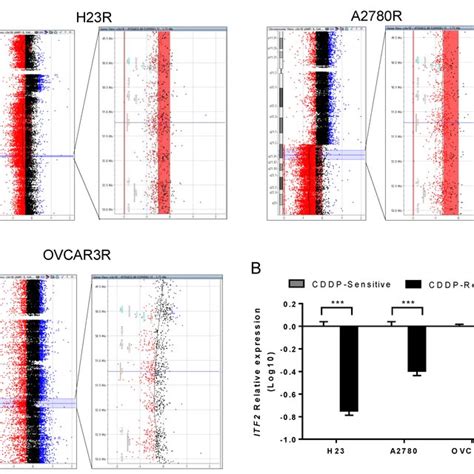 Identification Of A Common Deletion In Chromosome 18 In Download Scientific Diagram