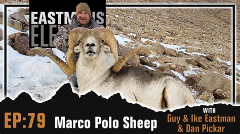 Eastmans Elevated Podcast EP 79 Marco Polo Sheep With Guy Eastman