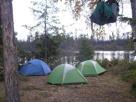 Camping In The Forest