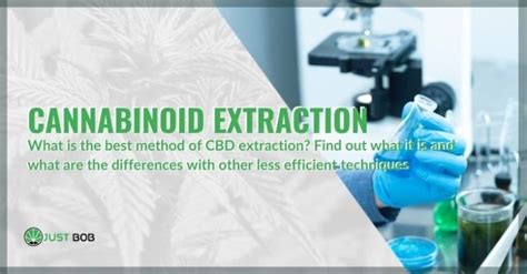 Cannabinoid Extraction What Is The Best Method Of Extracting Cbd Justbob