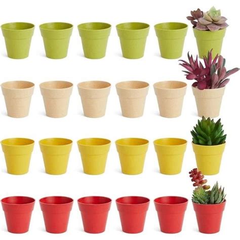 Mini Pots En Plastique Pour Plantes Lot De 24 Petits Pots De Fleurs