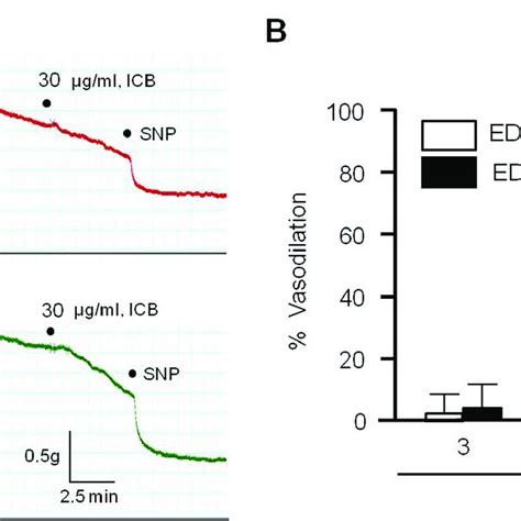 Effects Of α Isocubebene Icb On Vascular Tension In Mouse Thoracic