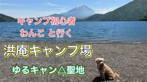 【キャンプ】キャンプ初心者がわんこと洪庵キャンプ場に行ってみた 63 │ キャンプ情報