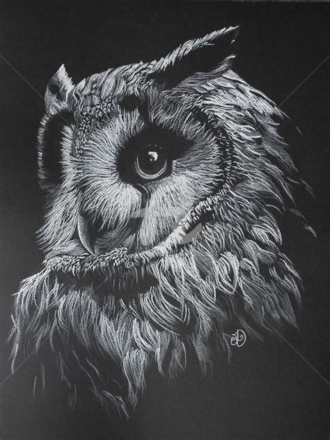 White Owl, Drawing by Audrey Delaye | Artmajeur | Owls drawing, Black ...