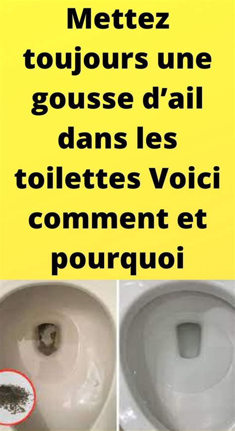 Mettez Toujours Une Gousse Dail Dans Les Toilettes Voici Comment Et