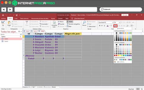 Dar Formato A Texto En Access Gu A Paso A Paso