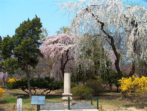 South Korea Seoul National Folk Museum 39 National F Flickr