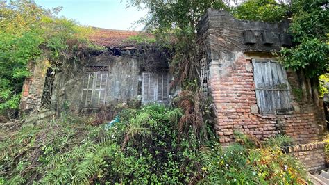 Clean Up The Old Dilapidated House Overgrown With Weeds 100 Year Old