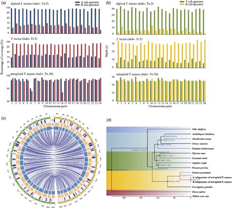 Pdf Genome Sequencing And Transcriptome Analyses Provide Insights