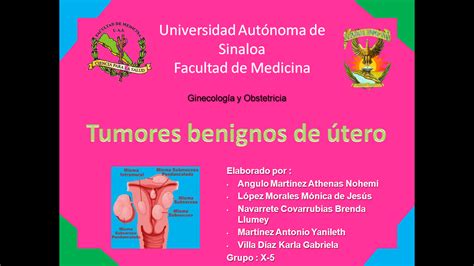 Ginecología Y Obstetricia De Villa Blog Tarea 39 Tumores Benignos De útero