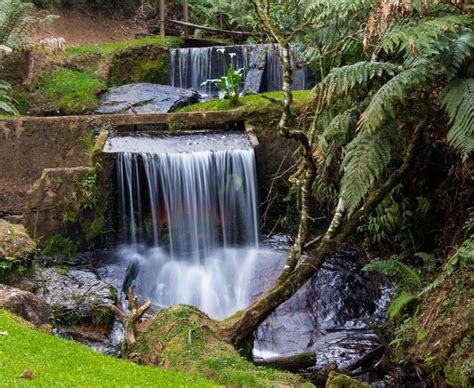 Oferta Holliday Pacote Aereo Completo De Viagem Para Campos Do Jordao