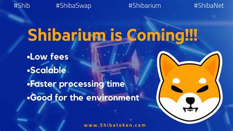 Explained What Is The Shibarium Blockchain Moralis Academy