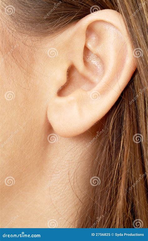 Brunette Girl Ear Stock Image Image Of Anatomy Brunette 2756825