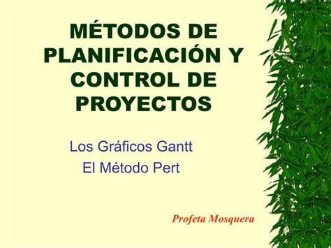 Metodos De Planificacion Y Control De Proyectos PPT