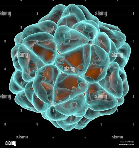 Satellite Tobacco Necrosis Virus Artwork Showing The Surface Structure