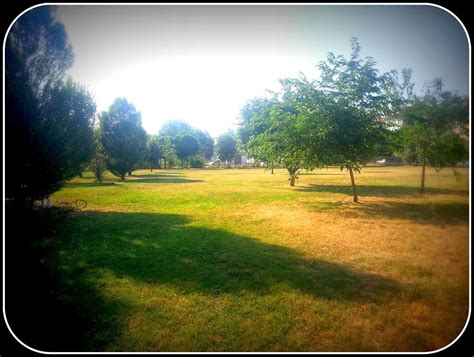 Dondo Land Le Aree Gioco A Firenze Vorrei Una Sorpresa Nel Parco Di