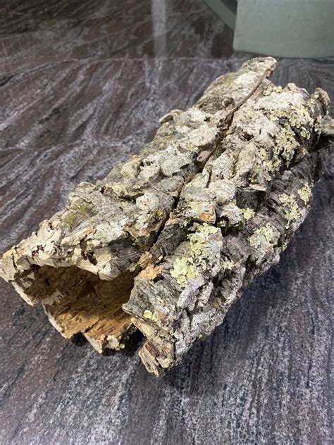 Big Cork Log For Hamsters Rabbits Reptiles Or Rodents Pet Supplies