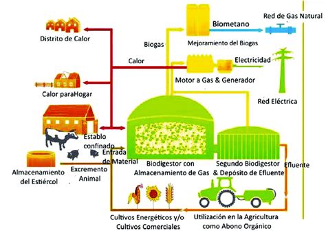 Proceso De Digesti N Anaer Bica De Rdb Para Producci N De Biog S