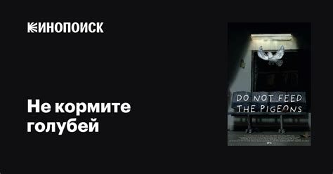 Не кормите голубей мультфильм, 2021, дата выхода трейлеры актеры отзывы ...