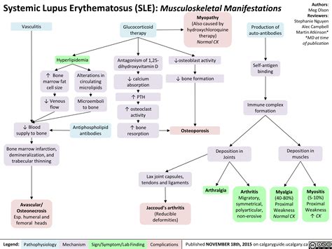 Systemic Lupus Erythematosus (SLE): Musculoskeletal Manifestations | Calgary Guide