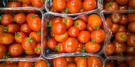 Precio Del Tomate Podr A Aumentar Abasto