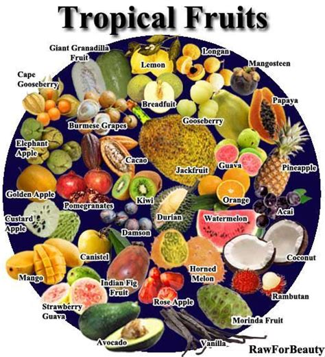 Tropical Fruits Chart Tropical Fruit Pinterest