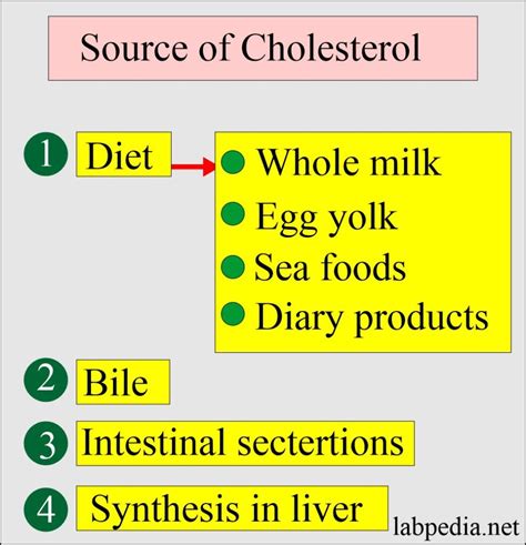 Lipids Total Lipids Role In Our Body Prof Riaz