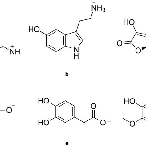 Structure Of Dopamine And Its Common Interferents At Physiological Ph Download Scientific